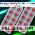 Kamagra 100Mg Prix De La Gelée Orale 19